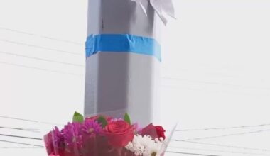 School Bus Driver Charged in Brooklyn Hit-and-Run That Killed Girl, 11