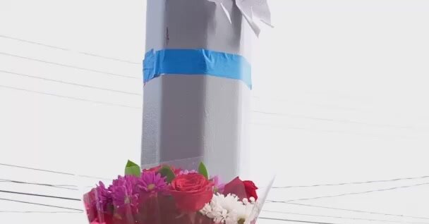 School Bus Driver Charged in Brooklyn Hit-and-Run That Killed Girl, 11