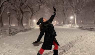 Blizzard Dumps Nearly 2 Feet of Snow on Some Parts of Manhattan