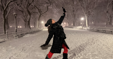 Blizzard Dumps Nearly 2 Feet of Snow on Some Parts of Manhattan