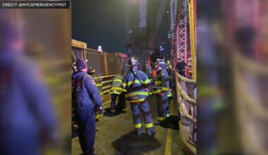 Teen who fell 50 feet into NYC's Queensboro Bridge shaft was doing a TikTok challenge, police sources say