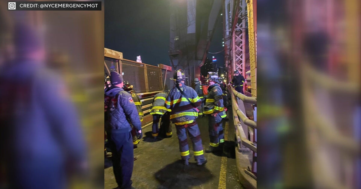 Teen who fell 50 feet into NYC's Queensboro Bridge shaft was doing a TikTok challenge, police sources say