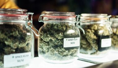 NYC Cannabis Retailer's Accelerator Program Will Support Black-Owned Brands