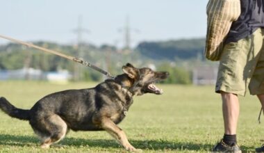 Local Police, Will County Sheriff Lead Citizens Police Academy 2026, Registration Open Now