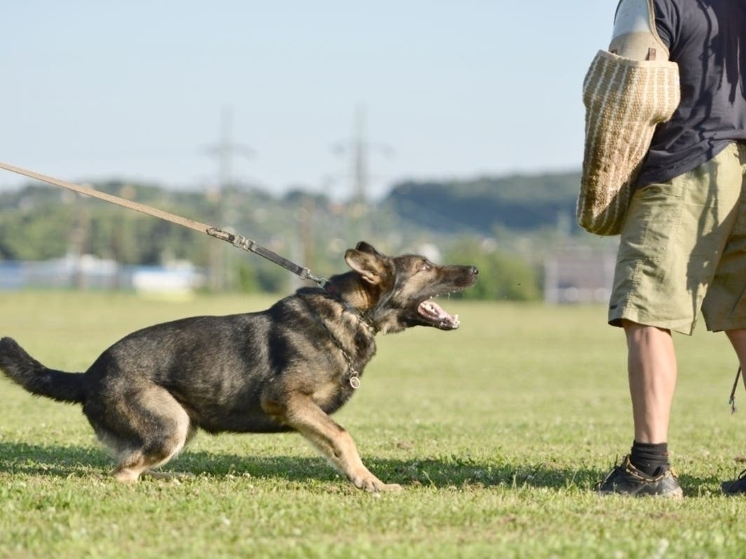 Local Police, Will County Sheriff Lead Citizens Police Academy 2026, Registration Open Now