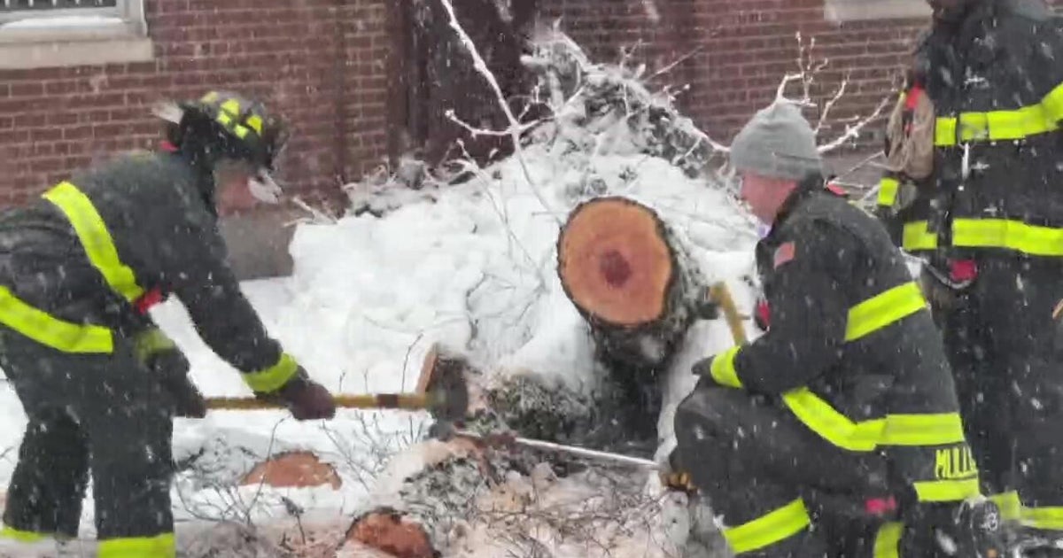See it: Nuns thank NYC firefighters for clearing trees toppled during the blizzard