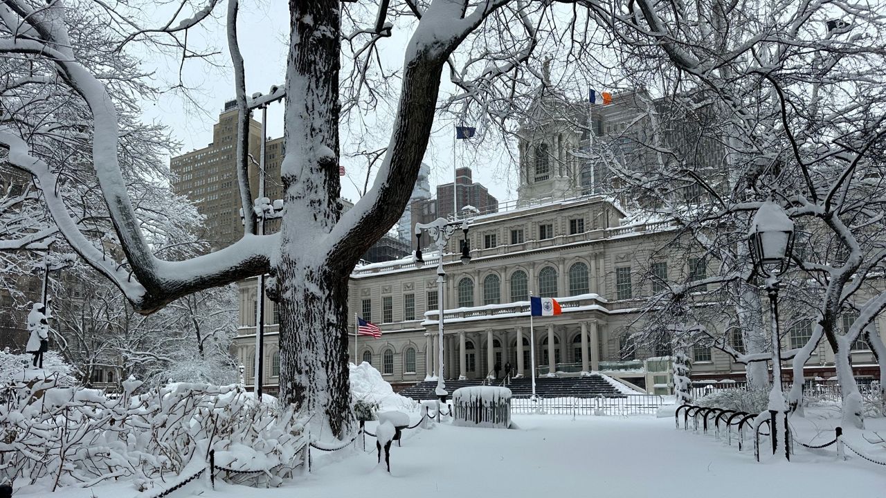 (Spectrum News NY1/Tyler Buesching)