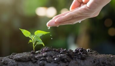 $1.1M from NY attorney general to promote climate-smart ag