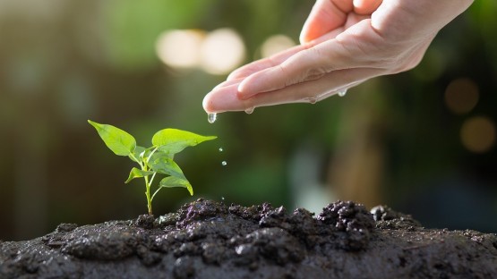 $1.1M from NY attorney general to promote climate-smart ag