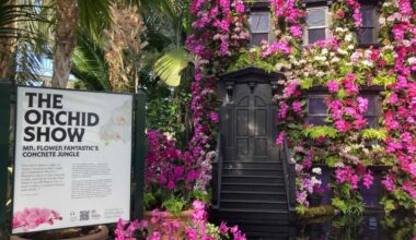 New York Botanical Garden’s Orchid Show returns with a love letter to New York City – Bronx Times