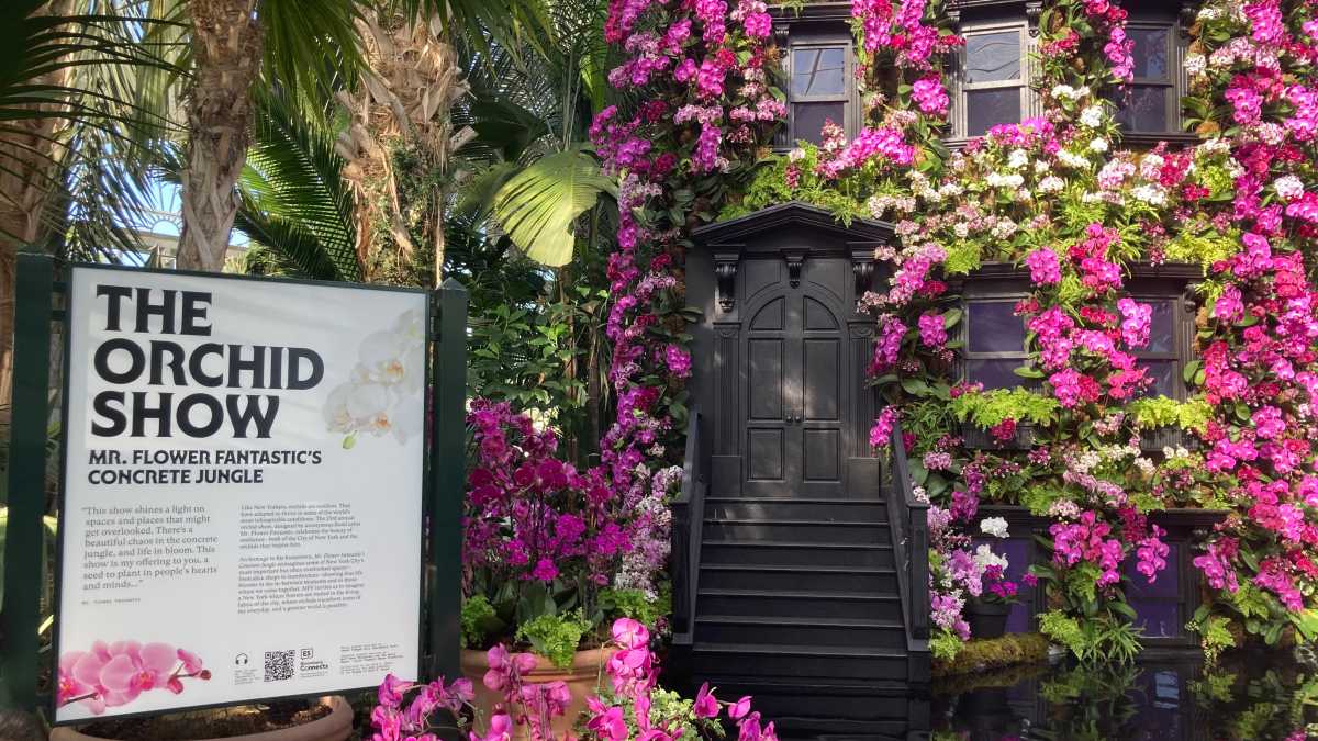 New York Botanical Garden’s Orchid Show returns with a love letter to New York City – Bronx Times