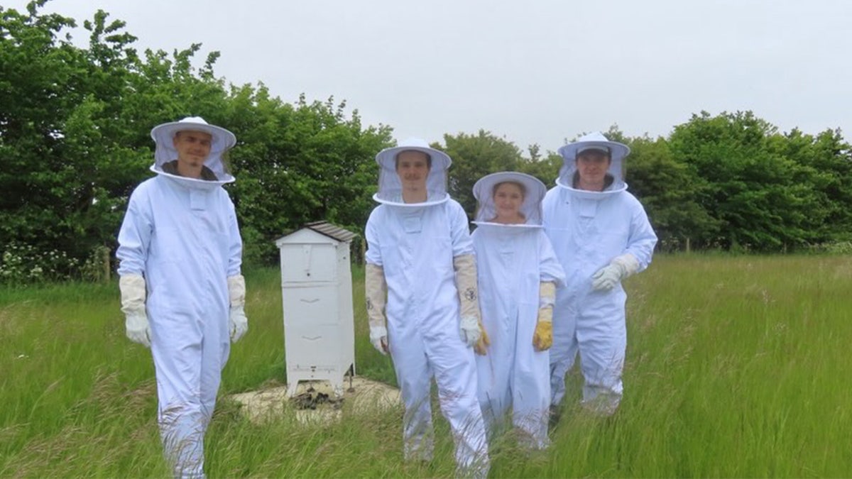 The Beckham children dress in beekeeping suits