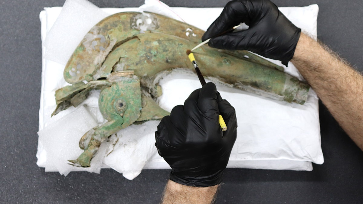 Curator analyzing iron age trumpet