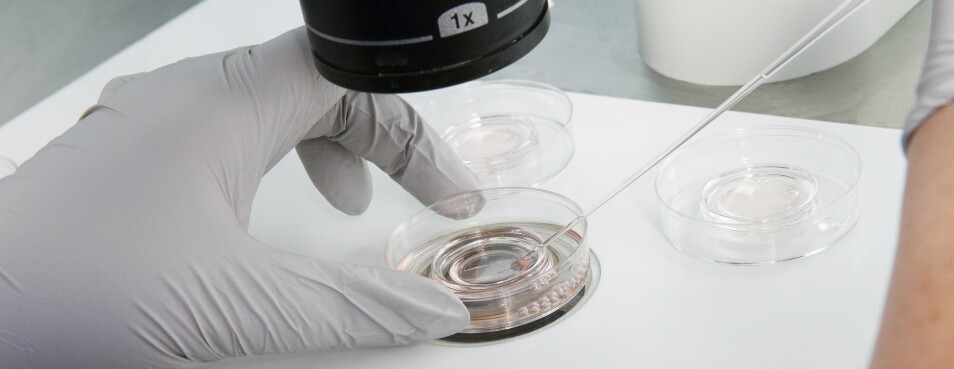 New York Looks for First-in-Nation Fertility Coverage Expansion