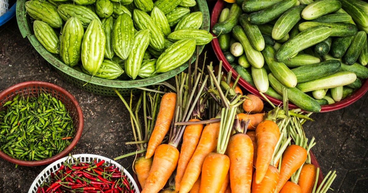 New York State to implement new work requirements for SNAP recipients