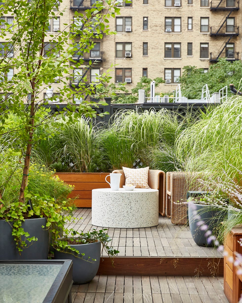 rooftop terrace with potted greenery and wicker chairs