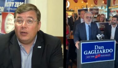 Zellner and Gagliardo