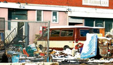 Looking Back - The Wave