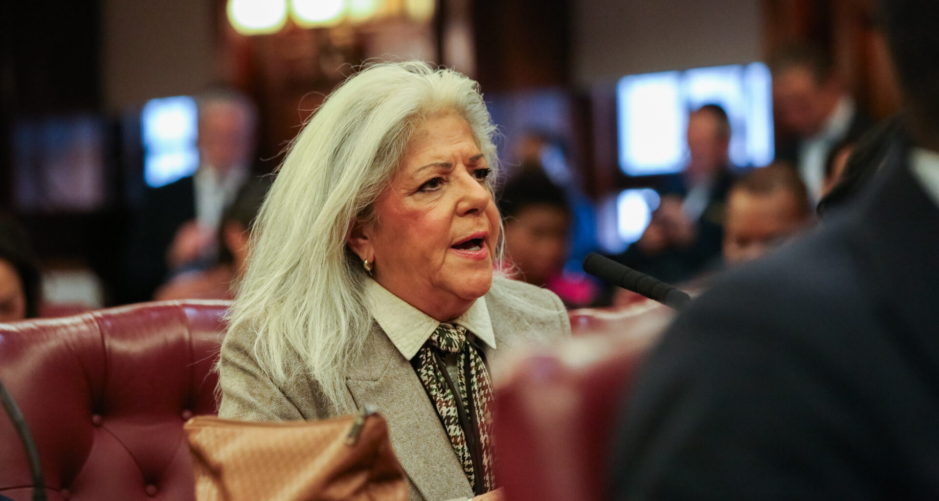 Councilmember Vickie Paladino Sues City Council To Block Upcoming Ethics Hearing