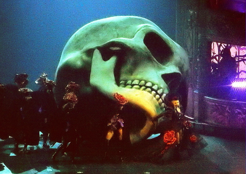 Lady Gaga Mayhem Ball performance — photo by Vicky Sullivan