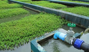 New York Approves $250 Million for Water Infrastructure Upgrades -- Environmental Protection