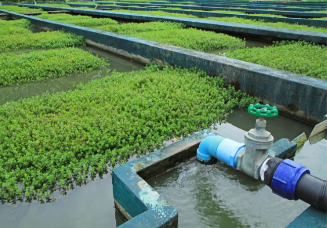 New York Approves $250 Million for Water Infrastructure Upgrades -- Environmental Protection