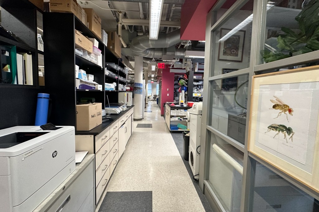 An NYU lab is housed on the same floor where the Triangle Shirtwaist Factory fire happened more than 100 years ago,