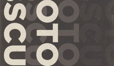 Natasha Chuk’s Photo Obscura: The Photographic in Post-Photography