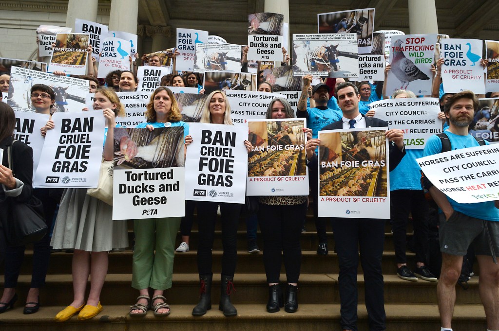 Animal activists protest against foie gras and the inhumane force-feeding of birds at NYC's City Hall.