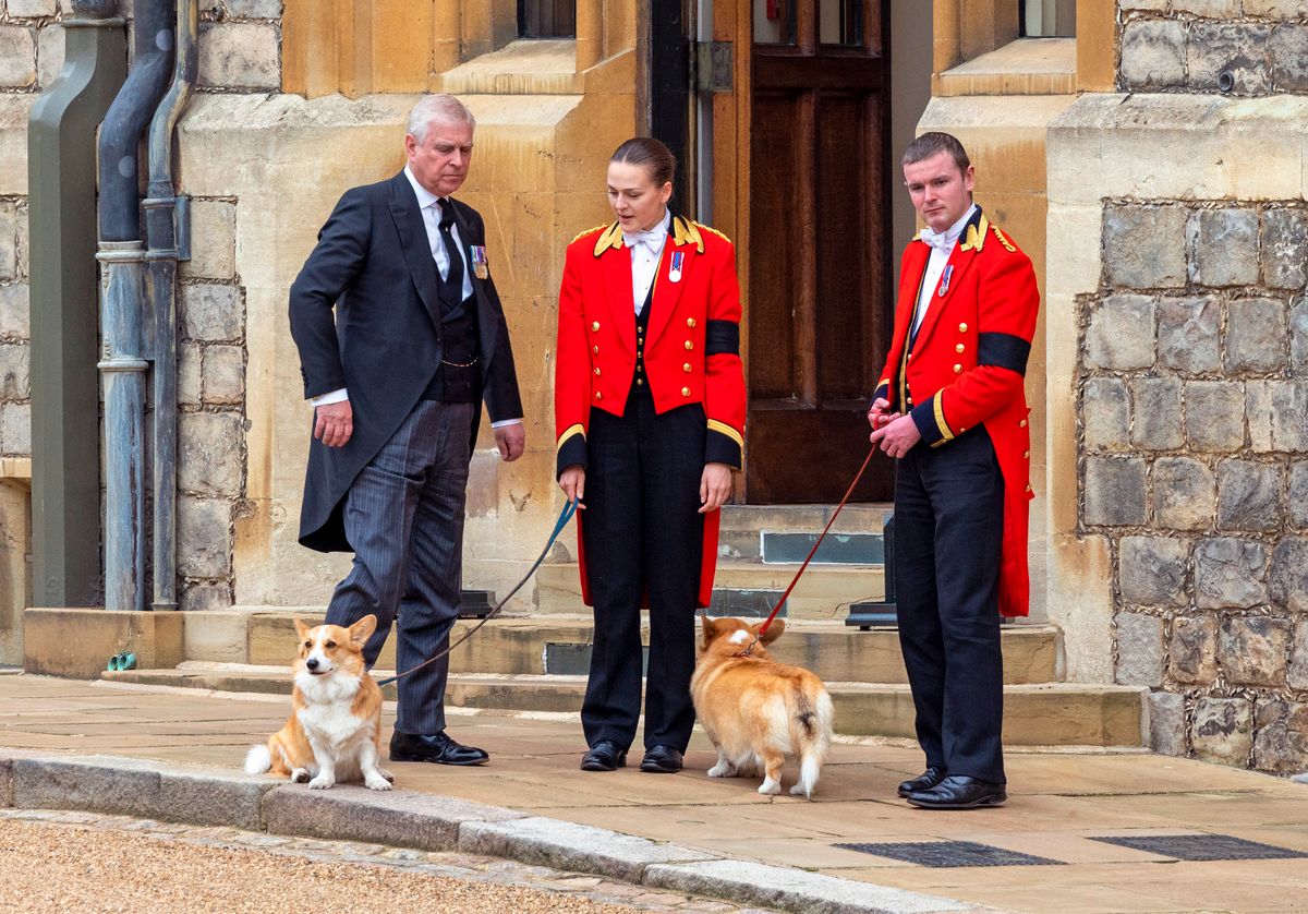 Andrew with the corgis Sandy and Muick at the late Queen's funeral in September 2022 at Windsor Castle 