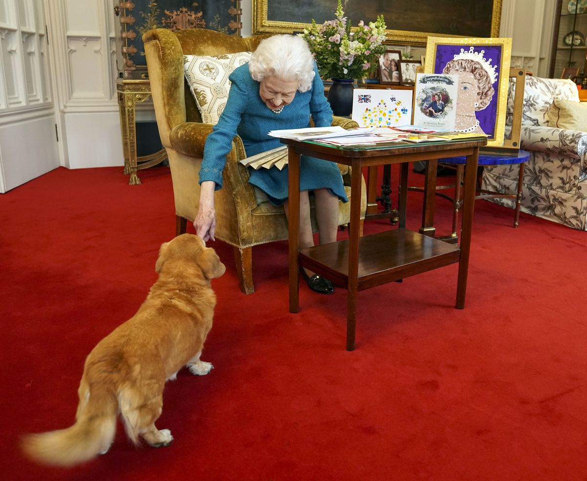 The Queen, pictured in 2022 with a Dorgi called Candy, had many dogs throughout her life.