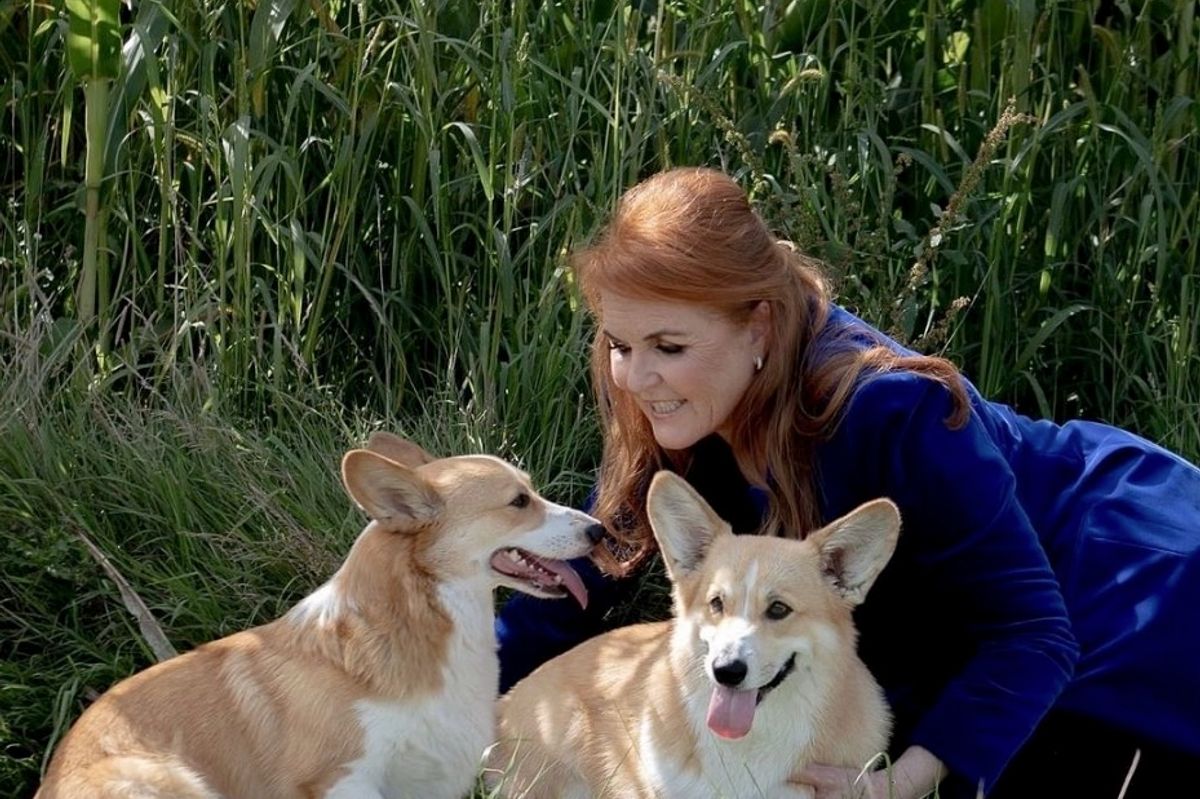 Fergie is said to have met with productions companies to discuss the idea