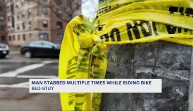 News 12 | Brooklyn | Police: Man stabbed multiple times by female while riding bike on Bed-Stuy NYCHA housing grounds