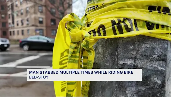 News 12 | Brooklyn | Police: Man stabbed multiple times by female while riding bike on Bed-Stuy NYCHA housing grounds