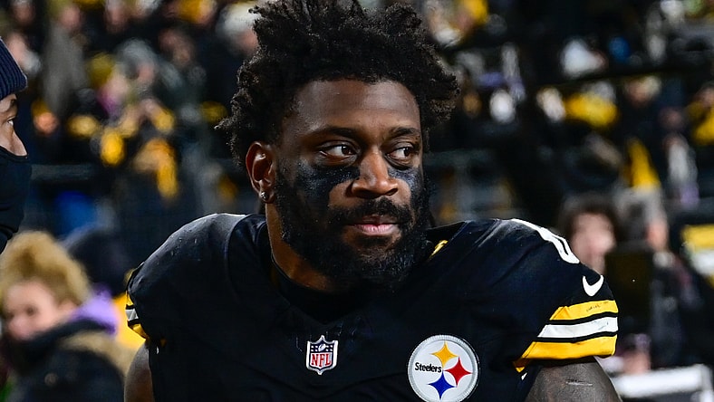 Pittsburgh Steelers Patrick Queen