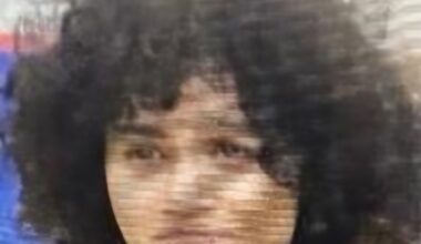 Jaylene Santos, 17, Missing