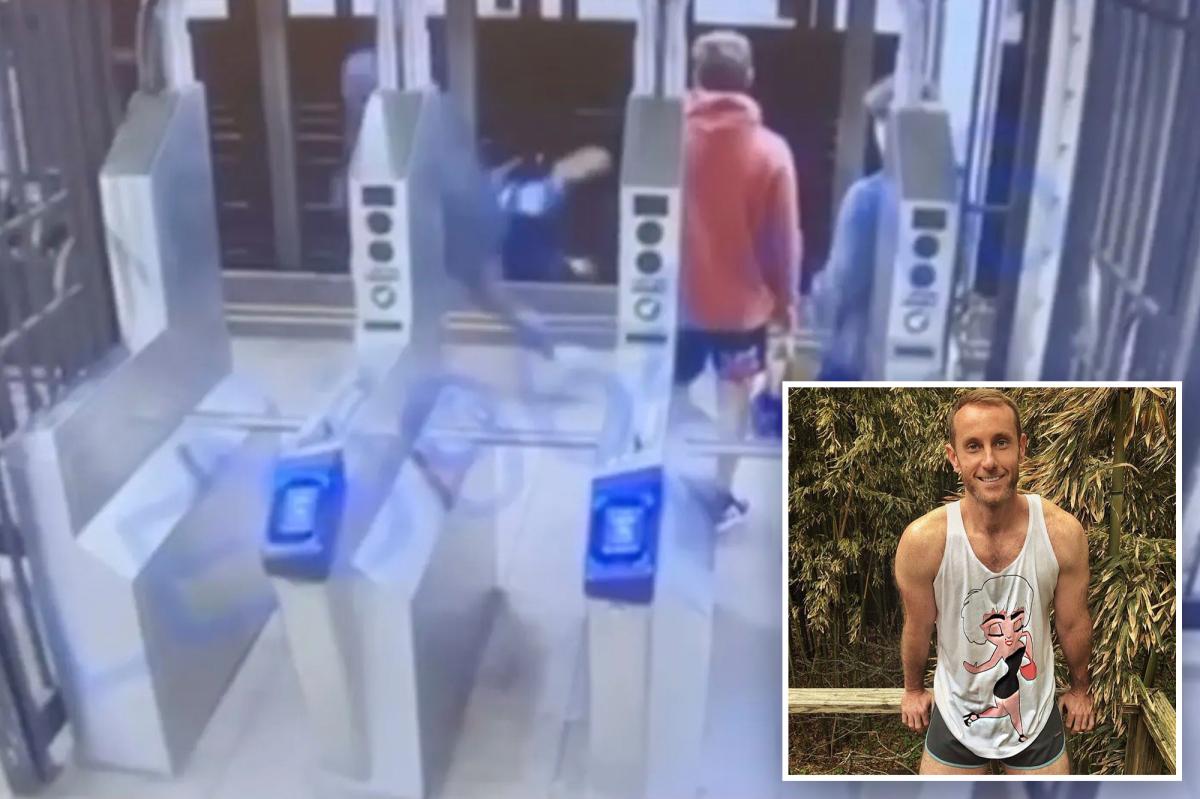 Survivor of subway shove sues MTA for safety fails