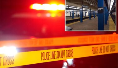 NYPD cop clocked in the head by stabbing suspect during botched arrest at NYC subway station