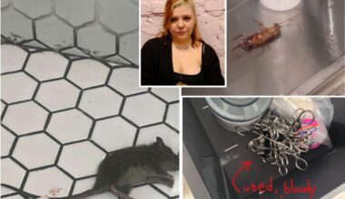 Popular NYC tattoo biz sues ex-workers for calling out alleged dirty needles, rats, bedbugs