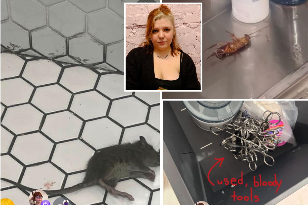 Popular NYC tattoo biz sues ex-workers for calling out alleged dirty needles, rats, bedbugs