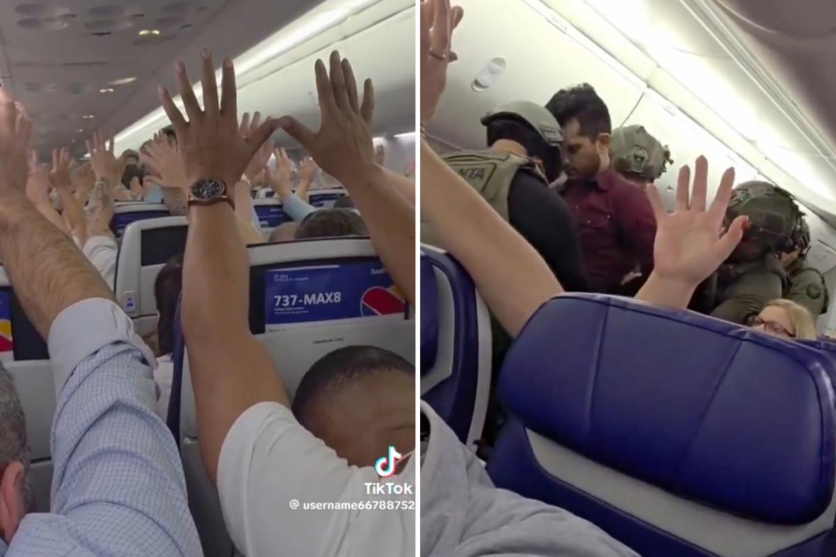 Southwest passenger dragged off plane after security threat forces unplanned Atlanta landing