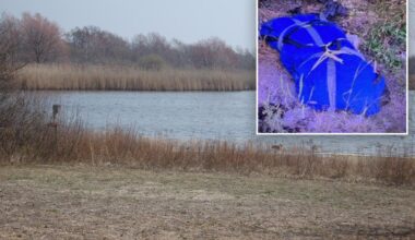 Human head found in Queens belongs to torso found 6 months ago: police sources