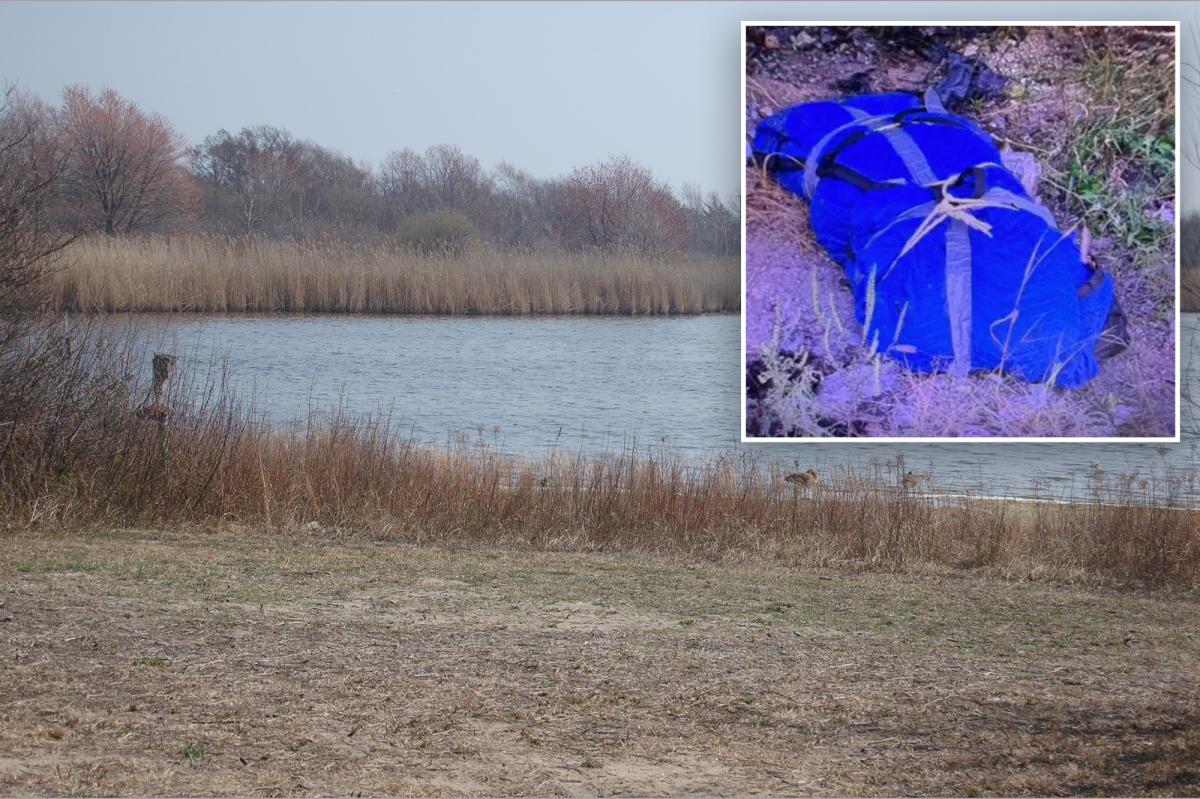 Human head found in Queens belongs to torso found 6 months ago: police sources