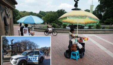 Female food vendor slashed in NYC park during a fight over turf