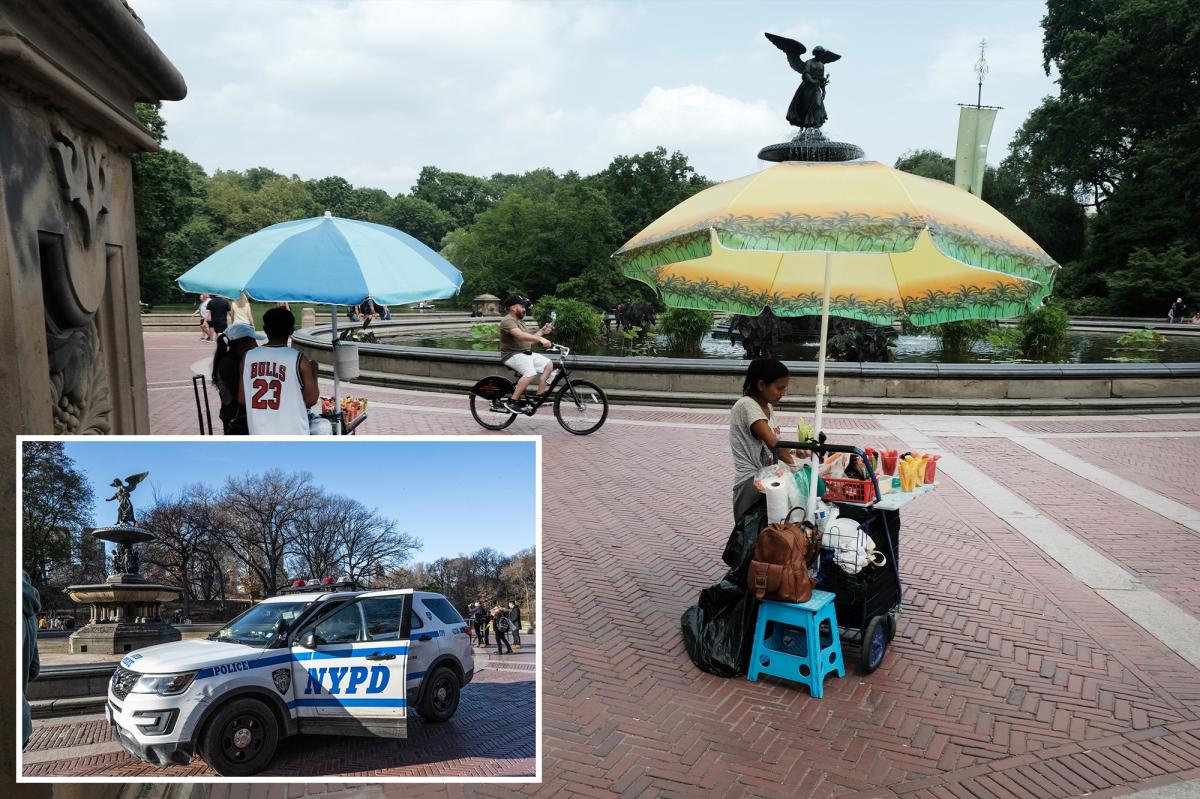 Female food vendor slashed in NYC park during a fight over turf
