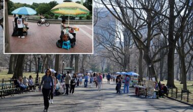 NYC food vendor busted for slashing her competitor in daylight Central Park turf battle: DA, sources