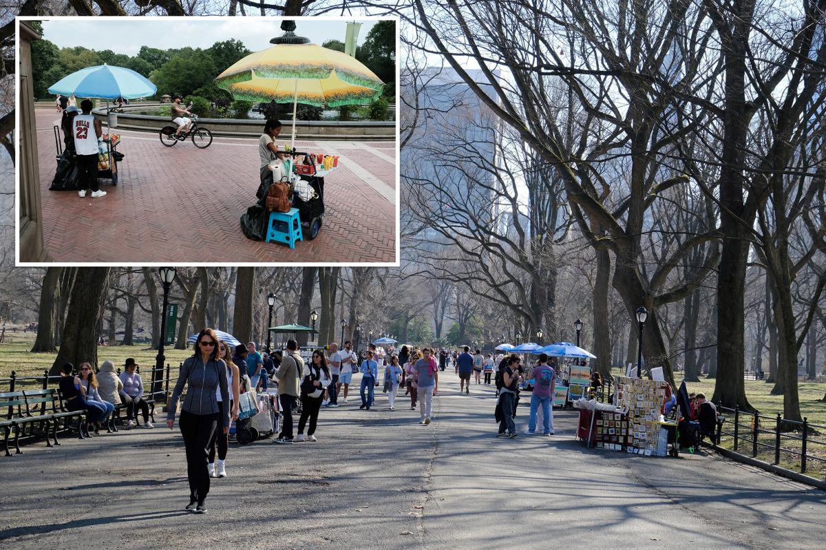 NYC food vendor busted for slashing her competitor in daylight Central Park turf battle: DA, sources
