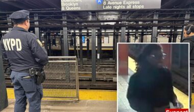 Suspect in custody for punching rider who was found dead at NYC's Penn Station: sources