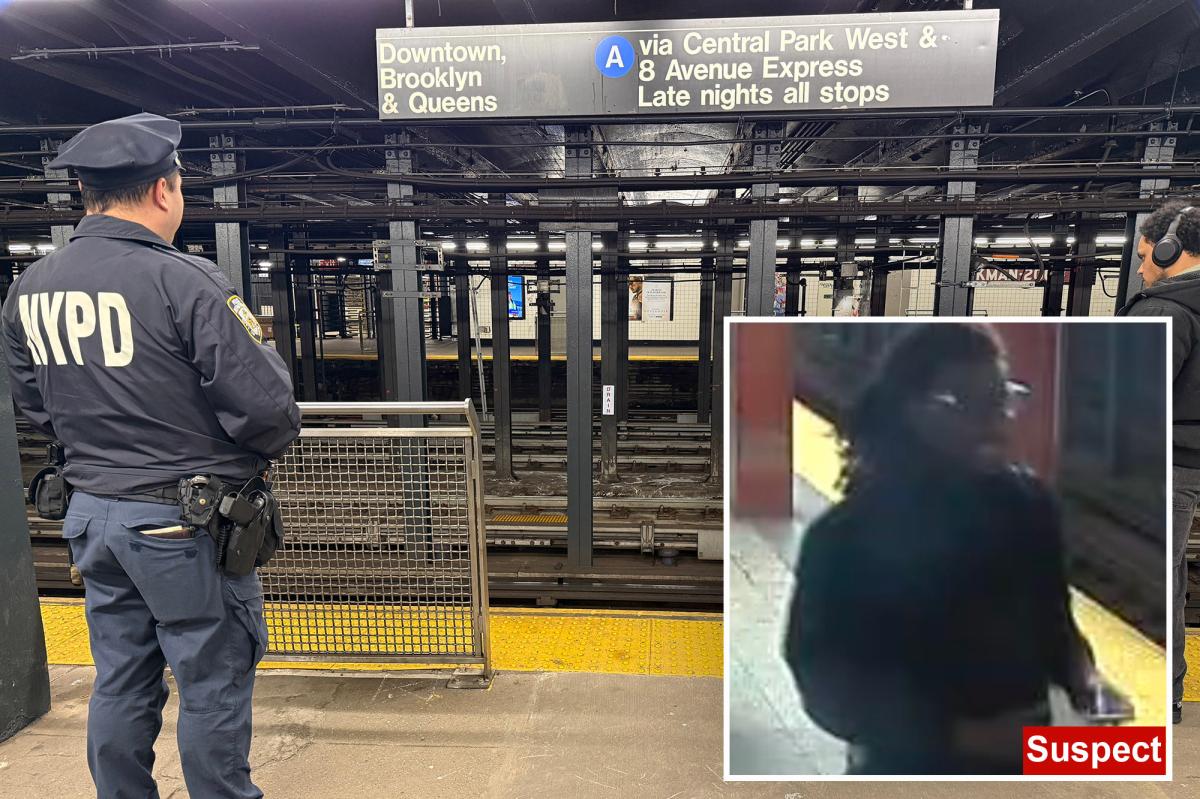 Suspect in custody for punching rider who was found dead at NYC's Penn Station: sources