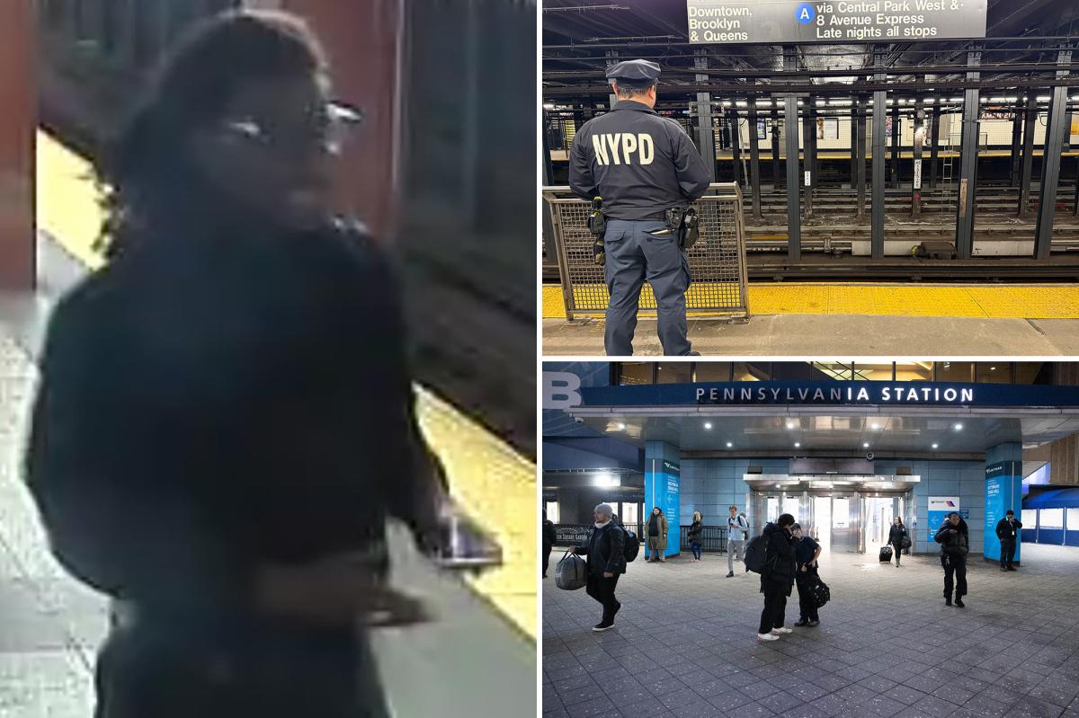 NJ man released with ticket in NYC subway assault that turned fatal